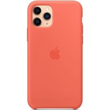 Оригинальный чехол Silicone Case для Apple iPhone 11 Pro (MWYQ2) - Orange: фото 1 из 3